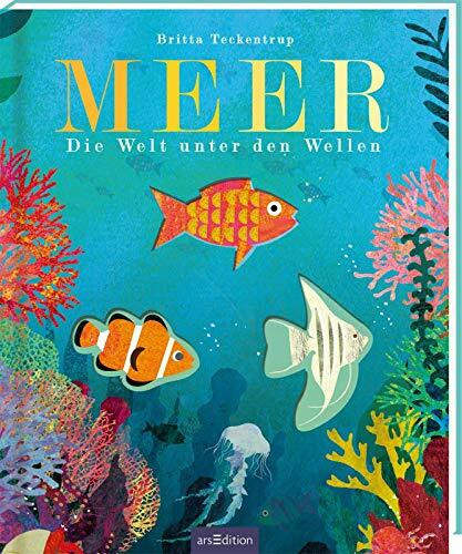 Meer: Die Welt unter den Wellen | Gereimtes Natur-Bilderbuch, mit Gucklöchern, hochwertig ausgestattet, für Kinder ab 3 Jahren