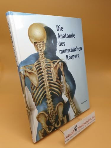 Die Anatomie des menschlichen Körpers