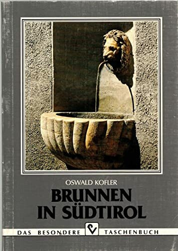 Brunnen in Südtirol (Das besondere Taschenbuch)