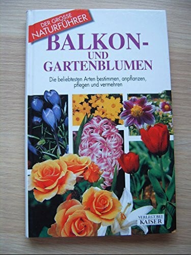 Balkon- und Gartenblumen: Die beliebtesten Arten bestimmen, anpflanzen, pflegen und vermehren