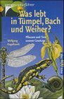 Was lebt in Tümpel, Bach und Weiher? In Farbe