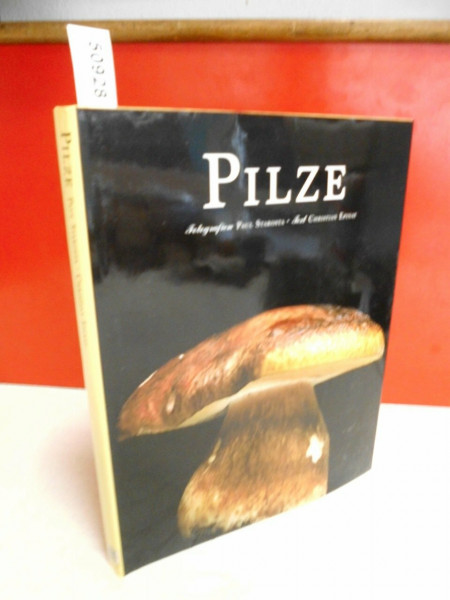 Pilze (Evergreen)