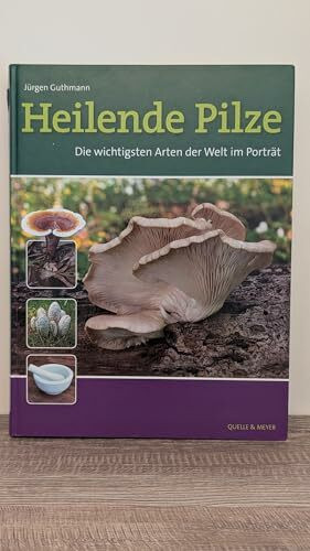 Heilende Pilze: Die wichtigsten Arten der Welt im Porträt