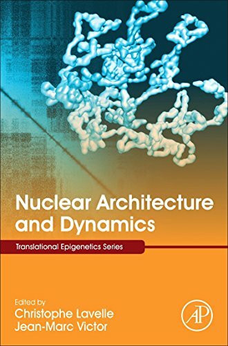 Nuclear Architecture and Dynamics (Volume 2) (Translational Epigenetics, Volume 2, Band 2)