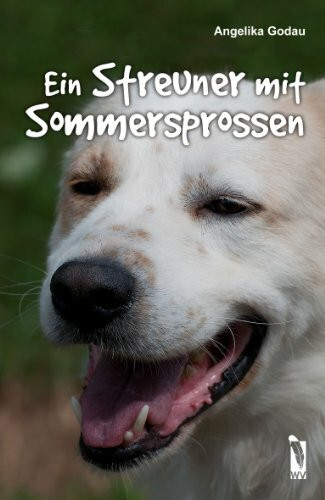 Ein Streuner mit Sommersprossen