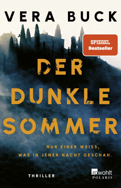Der dunkle Sommer: Nur einer weiß, was in jener Nacht geschah. | Thriller
