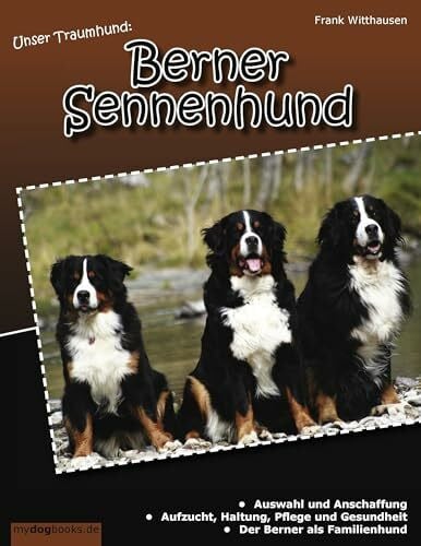 Unser Traumhund: Berner Sennenhund