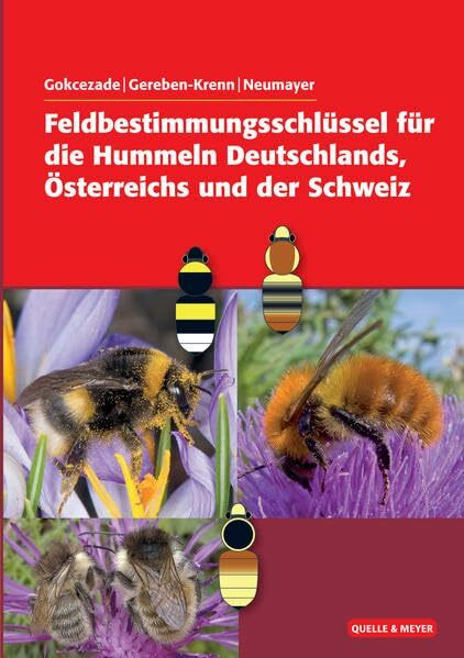 Feldbestimmungsschlüssel für die Hummeln Deutschlands, Österreichs und der Schweiz