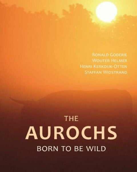 The Aurochs: the comeback of a European icon