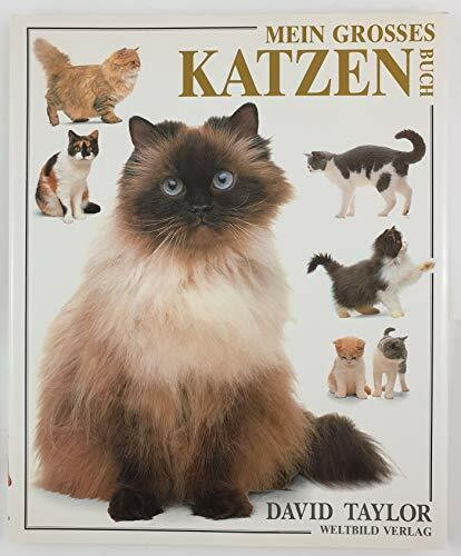 Mein großes Katzenbuch
