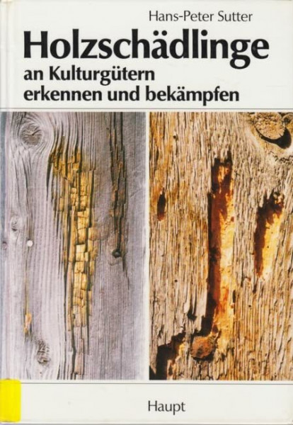 Holzschädlinge an Kulturgütern erkennen und bekämpfen