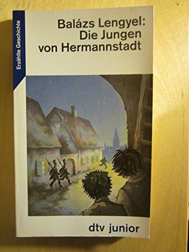 Die Jungen von Hermannstadt: Erzählte Geschichte (dtv junior)