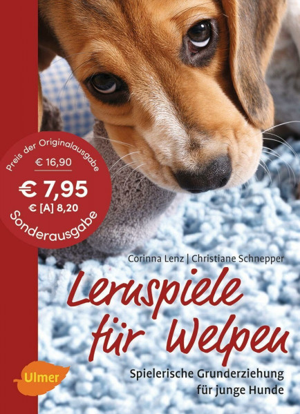 Lernspiele für Welpen: Spielerische Grunderziehung für junge Hunde