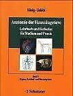 Anatomie der Haussäugetiere, 2 Bde., Bd.2, Organe, Kreislaufsystem und Nervensystem