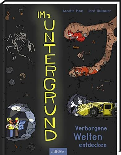 Im Untergrund: Verborgene Welten entdecken | Entdeckungsreise unter die Erde, stimmungsvolle Illustrationen, ab 8 Jahren