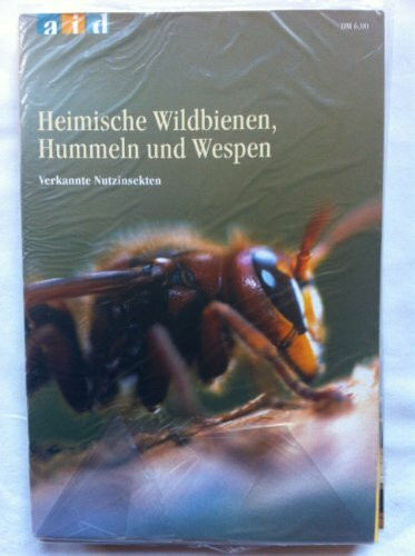 Heimische Wildbienen, Hummeln und Wespen - verkannte Nutzinsekten