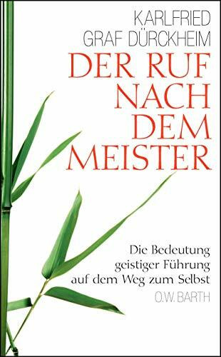 Der Ruf nach dem Meister: Die Bedeutung geistiger Führung auf dem Weg zum Selbst