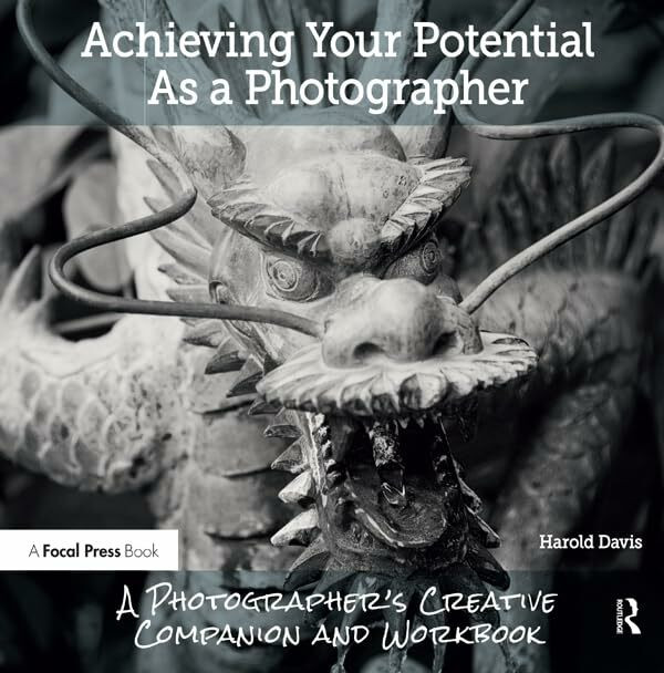 Taylor & Francis Achieving Your Potential As A Photographer, A Creative Companion And Workbook