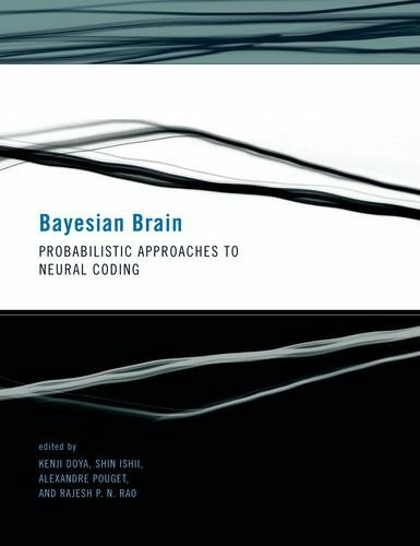 Bayesian Brain: Probabilistic Aproaches to Neural Coding: Probabilistic Approaches to Neural Coding (Computational Neuroscience)