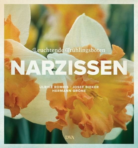 Narzissen: Leuchtende Frühlingsboten