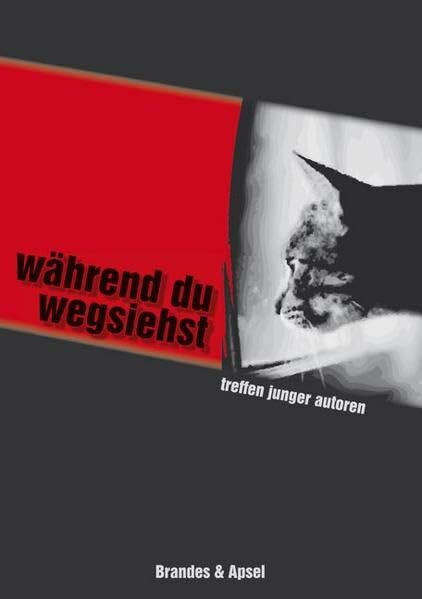 Während du wegsiehst: Treffen Junger Autoren 2008. Berliner Festspiele (literarisches programm)
