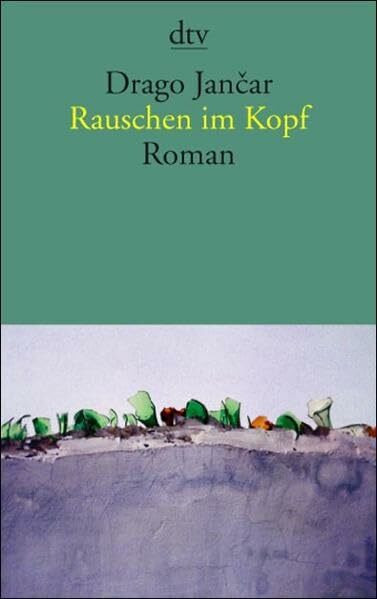 Rauschen im Kopf: Roman