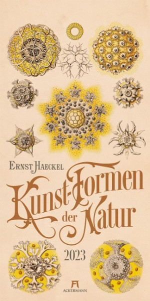 Kunst-Formen der Natur - Ernst Haeckel Kalender 2023