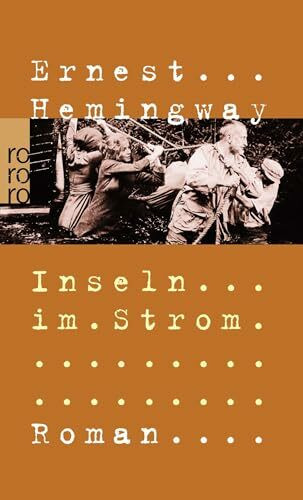 Inseln im Strom: Roman.