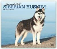 Siberian Huskies, for the Love of 2020 Deluxe Foil