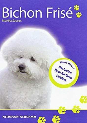 Bichon frisé