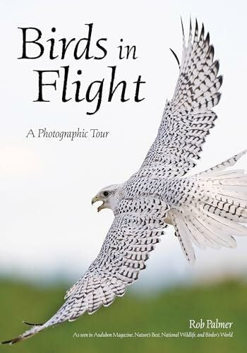 Birds in Flight: A Photographic Essay of Hawks, Ducks, Eagles, Owls, Hummingbirds, & More