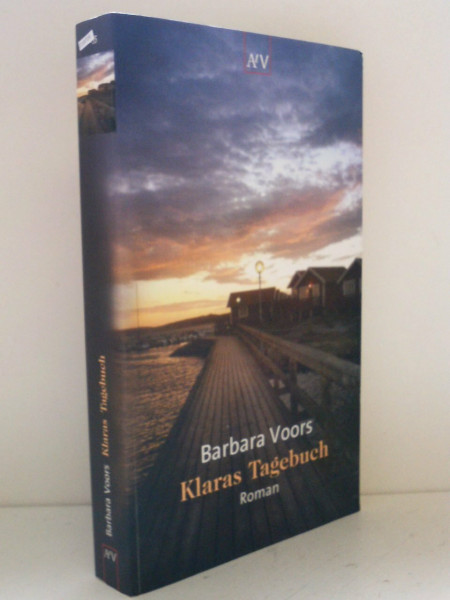 Licht am Horizont: Roman (Heyne Allgemeine Reihe (01))