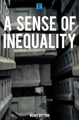 A Sense of Inequality (Transforming Capitalism)