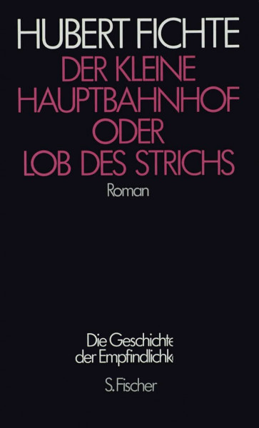 Der Kleine Hauptbahnhof oder Lob des Strichs: Roman (Hubert Fichte, Die Geschichte der Empfindlichkeit)
