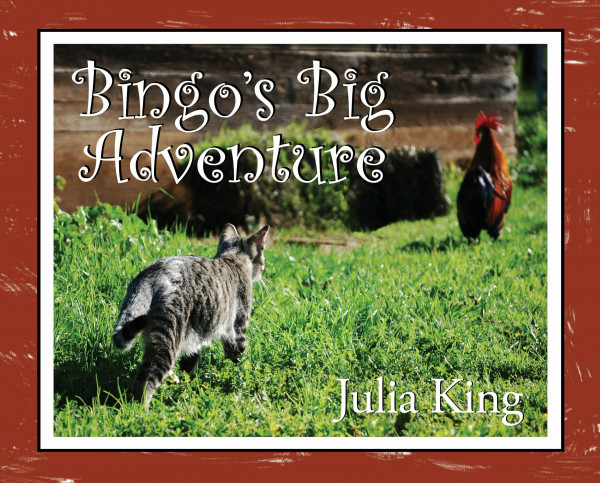Bingo's Big Adventure: A Cat's Tale