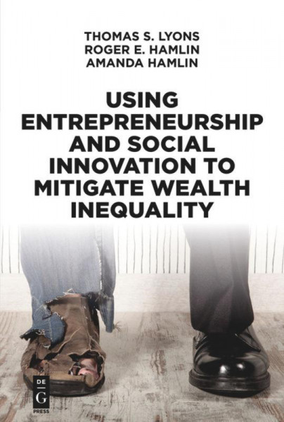 Using Entrepreneurship and Social Innovation to Mitigate Wealth Inequality