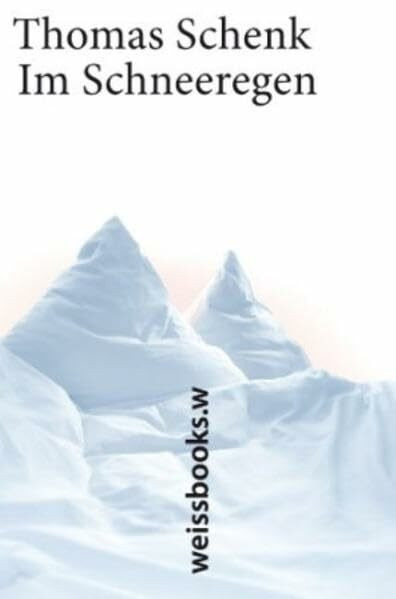 Im Schneeregen: Eine Geschichte