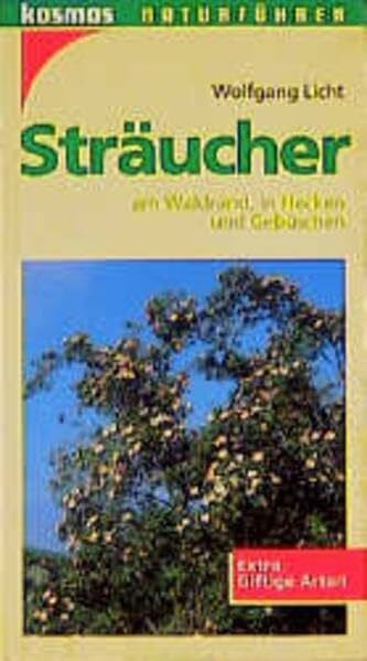Sträucher. Am Waldrand, in Hecken und Gebüschen. Extra: Giftige Arten