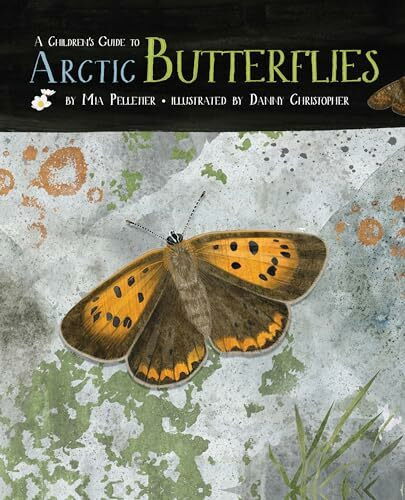 Children's Guide to Arctic Butterflies (English)