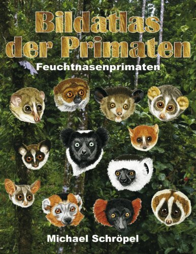 Bildatlas der Primaten: Feuchtnasenprimaten