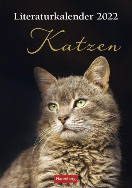 Katzen. Literaturkalender 2022