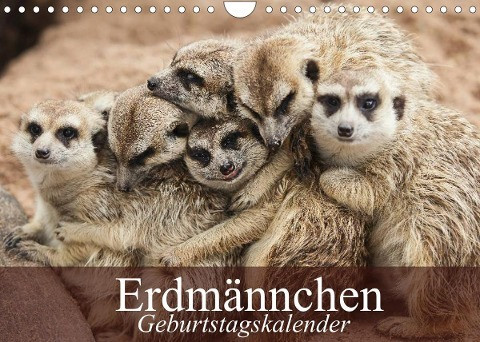 Erdmännchen (Wandkalender 2022 DIN A4 quer)