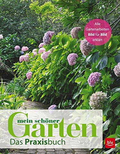 Mein schöner Garten: Das Praxisbuch (BLV Gartenpraxis)