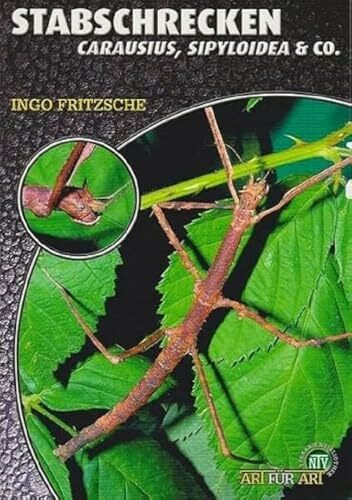 Stabschrecken: Carausius, Sipyloidea & Co. (Buchreihe Art für Art Terraristik)