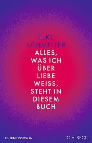 Alles, was ich über Liebe weiß, steht in diesem Buch: Einbildungsroman