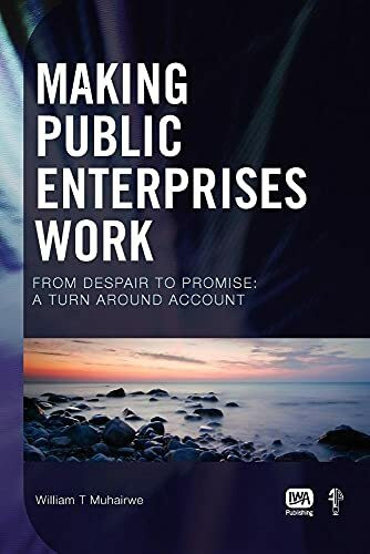 Making Public Enterprises Work: From Despair to Promise: A Turn Around Account