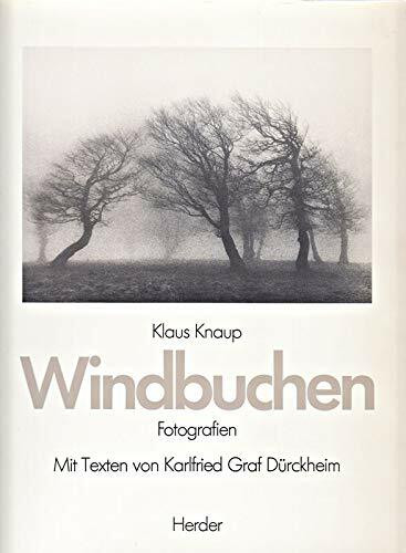 Windbuchen. Fotografien