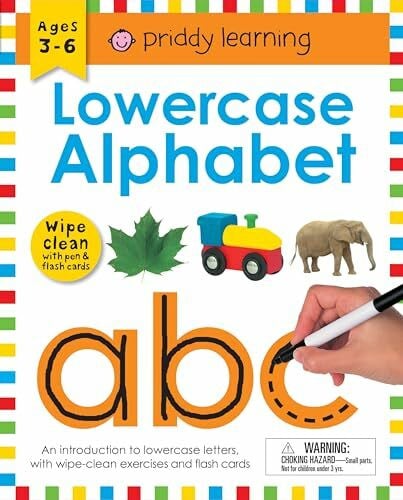 Wipe Clean Workbook: Lowercase Alphabet (Enclosed Spiral Binding): Ages 3-6; With Pen & Flash Cards: An Introduction to Lowercase Letters with ... to Do Again and Again (Piddy Learning)