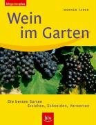 Wein im Garten: Die besten Sorten. Erziehen, Schneiden, Verwerten