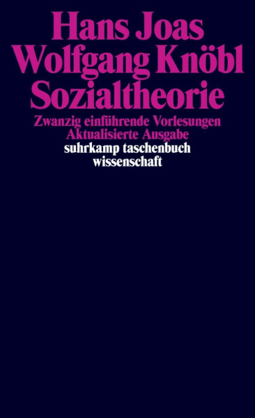 Sozialtheorie: Zwanzig einführende Vorlesungen (suhrkamp taschenbuch wissenschaft)